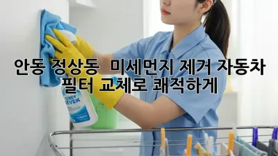 안동 정상동 🚗 미세먼지 제거, 자동차 필터 교체로 쾌적하게! 💨